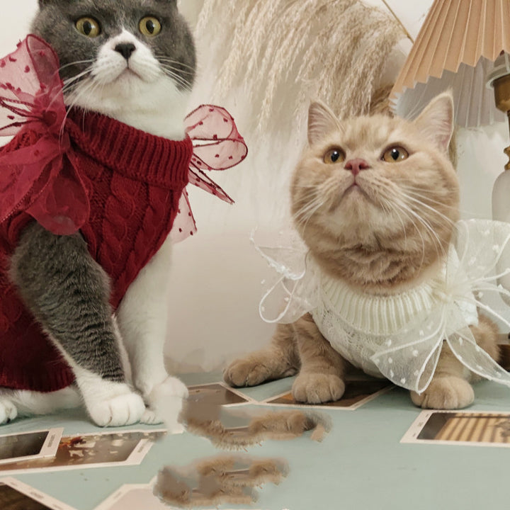 Pet Cute Warm Sweater For New Year Festive Celebration