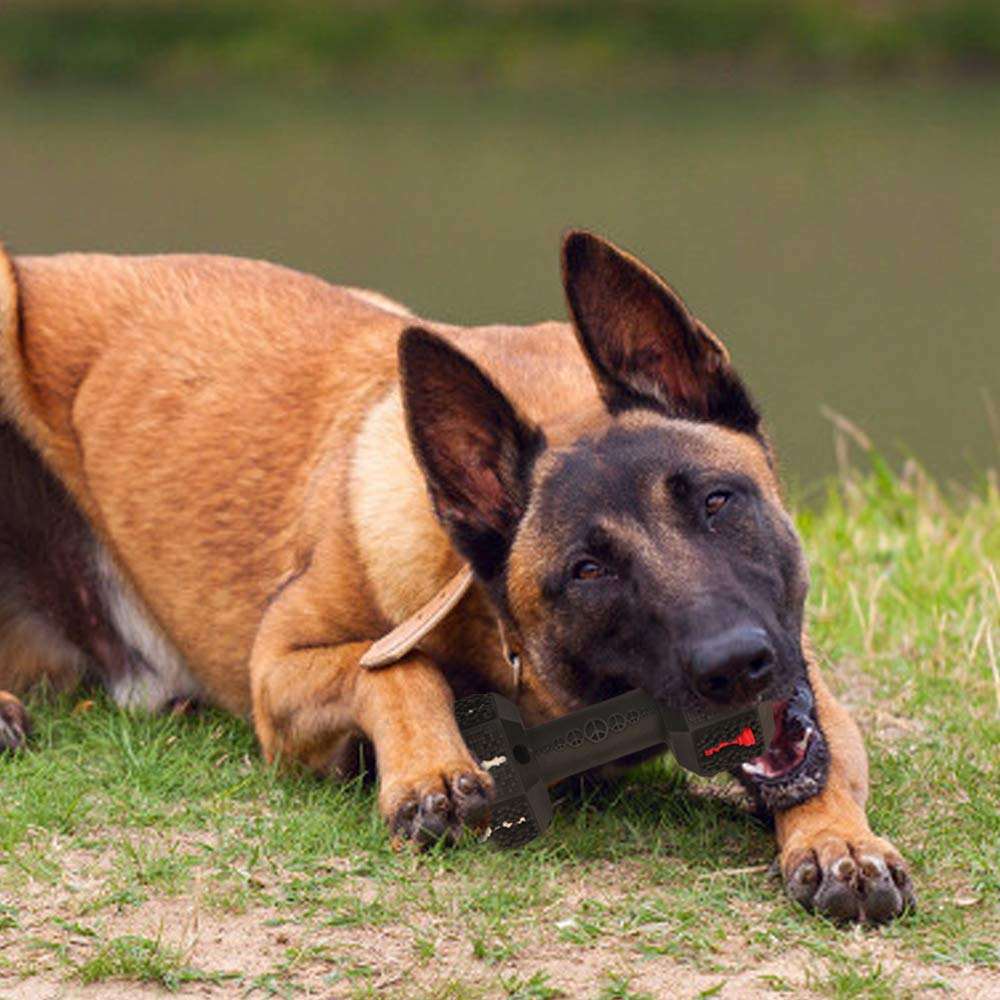 Durable Pet Chew Toy For Aggressive Chewers With Tooth Cleaning
