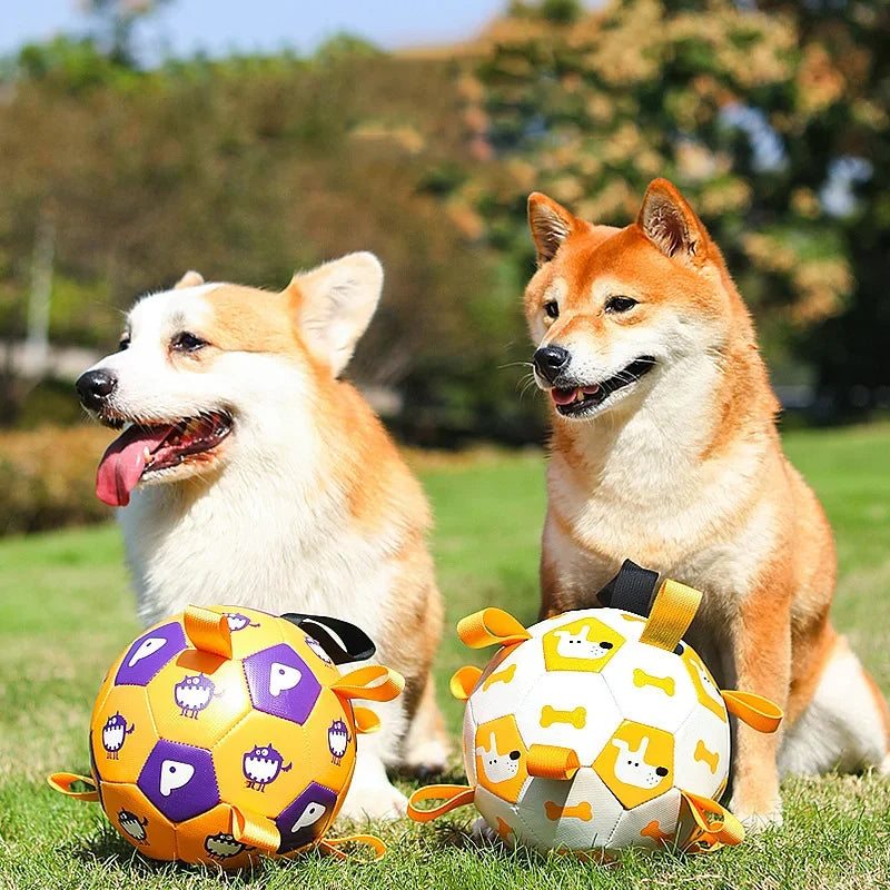 Interactive Pet Football Toy Outdoor Training Chew Teething Ball