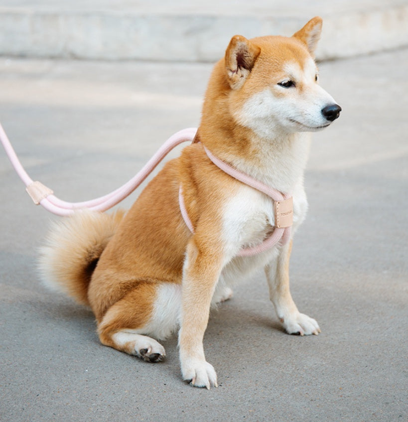 Dual Purpose Integrated Round Rope Pet Leash Control Lead
