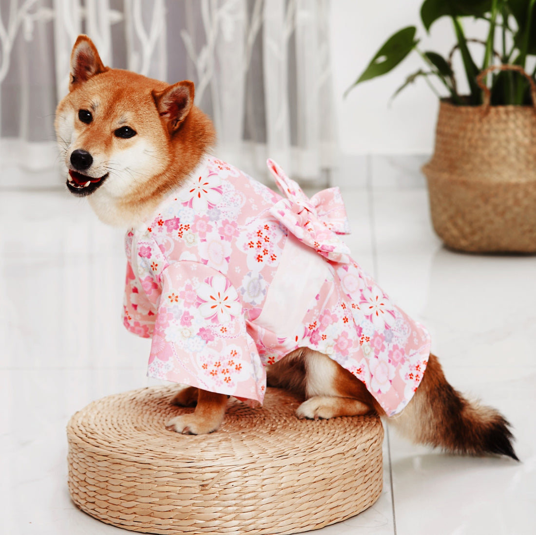 Fashion Kimono Pet Decoration Clothes