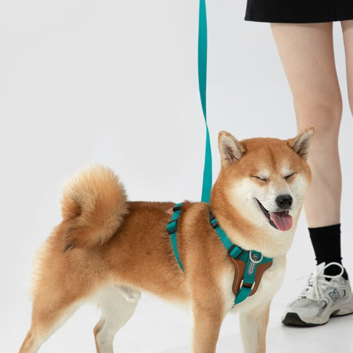 Rope Leash Multifunctional Explosion-proof Okinawa Leash Chest Strap