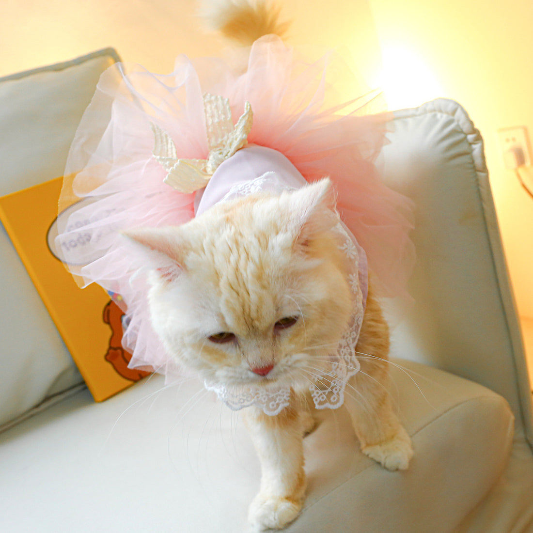 Pet Lace Clothing Stylish Comfortable Lightweight Everyday Wear