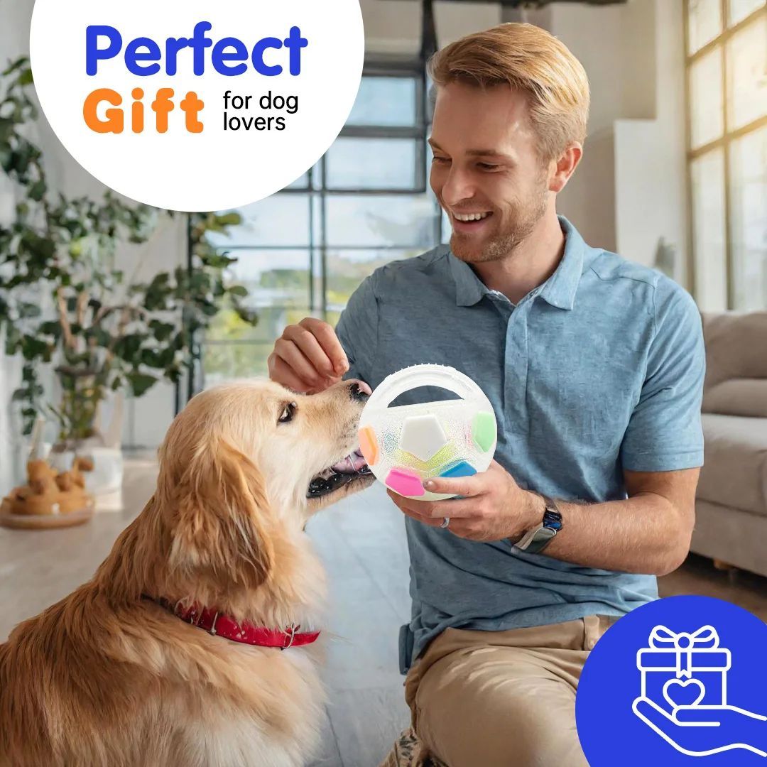 Durable Pet Football Tennis Ball Toy With Squeaky Teething Design