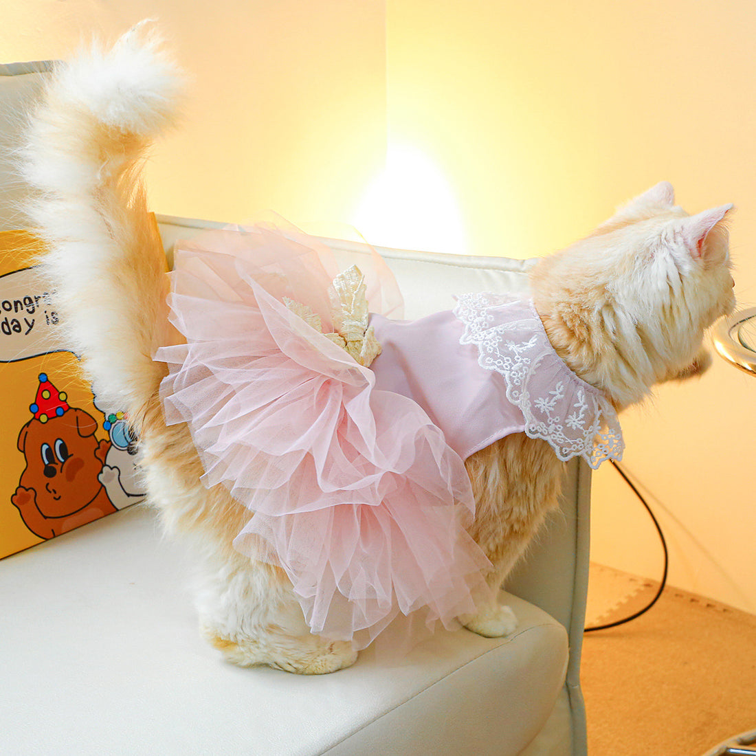 Pet Lace Clothing Stylish Comfortable Lightweight Everyday Wear
