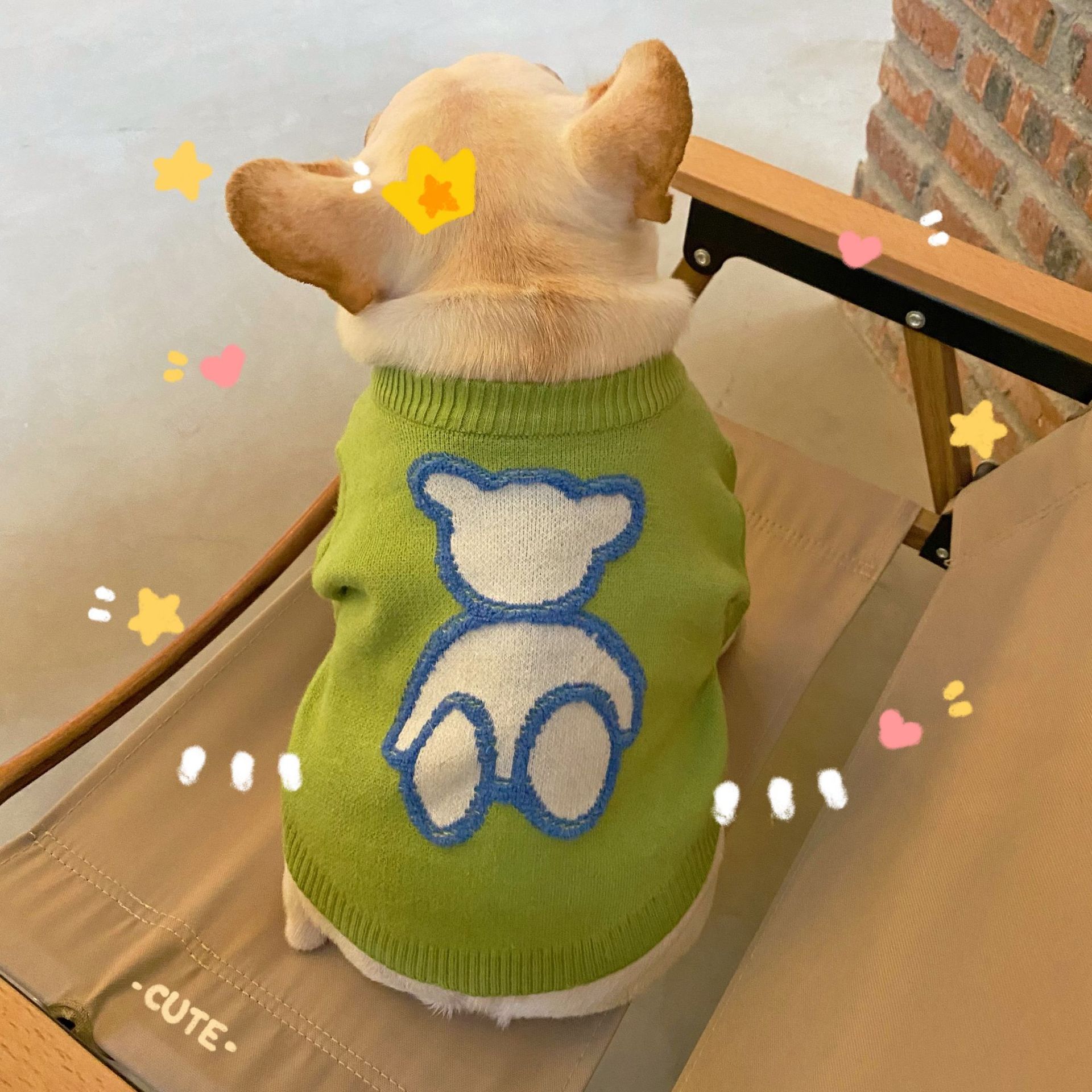 Pet Fall Winter Sweater Warm Comfortable Stylish Clothing
