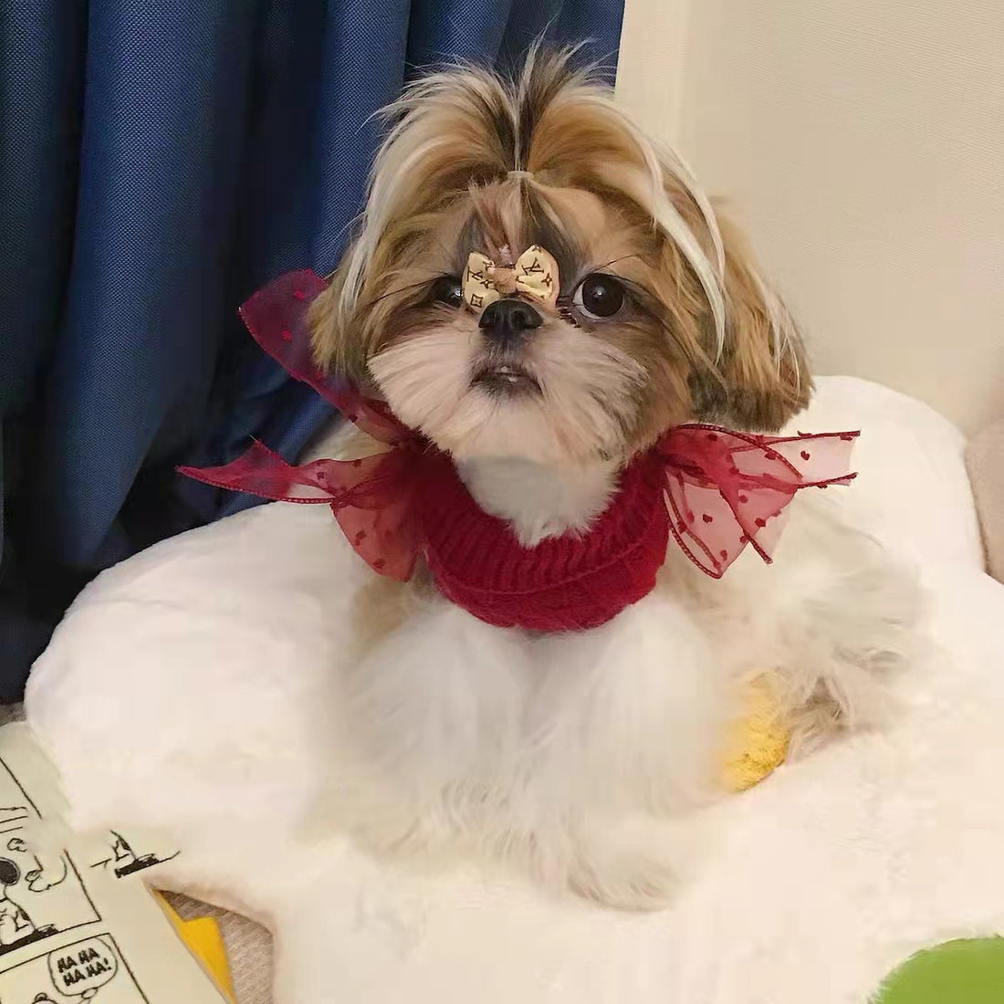 Pet Cute Warm Sweater For New Year Festive Celebration