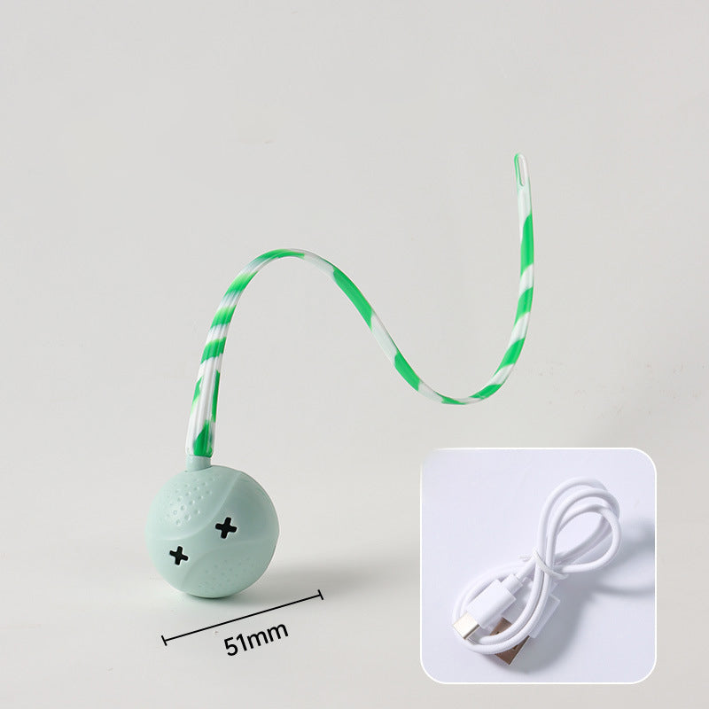 Interactive Electric Motion Sensor Pet Ball Toy For Play And Exercise