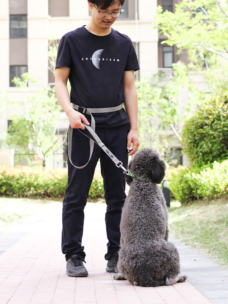 Multifunctional 1.8M Pet Leash Running Traction Lead