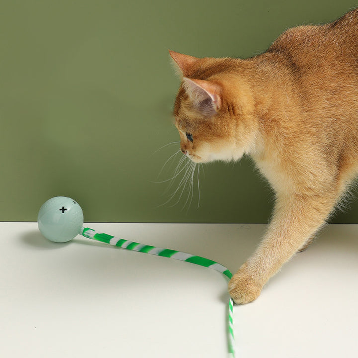 Interactive Electric Motion Sensor Pet Ball Toy For Play And Exercise
