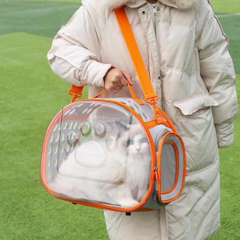 Pet Transparent Bag Space Capsule Backpack