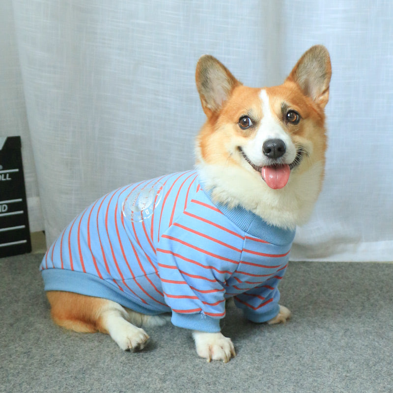 Clothes Sweater New Pet Owner Parent-child Wear