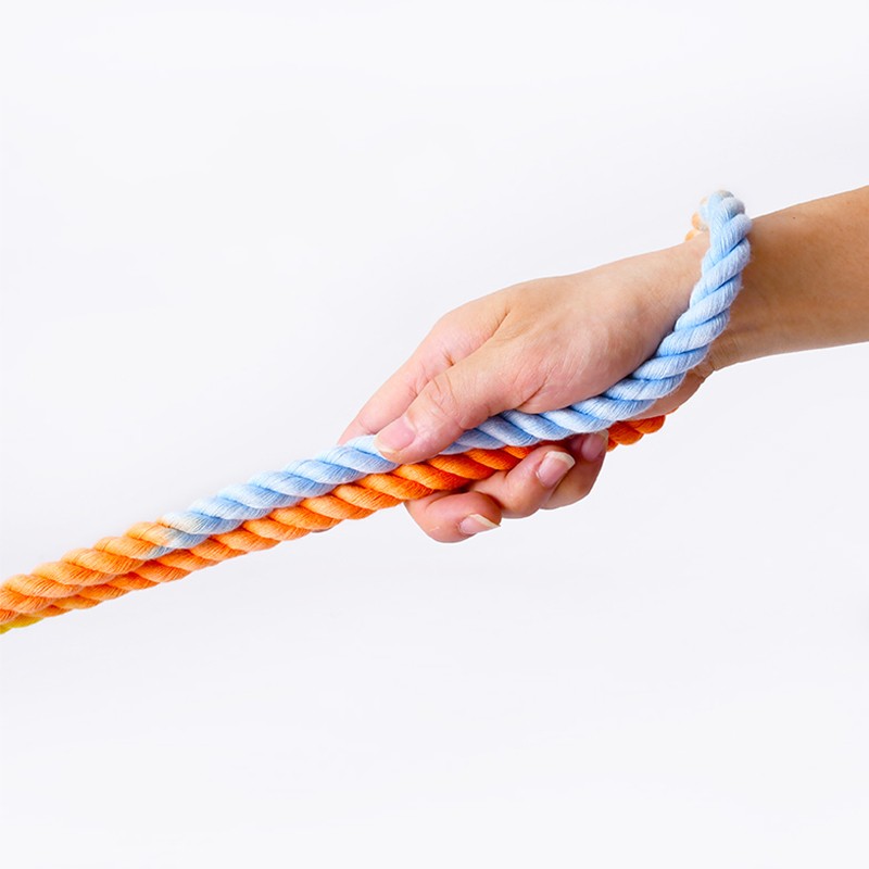 Multi Functional Dual Head Pet Leash Control Lead