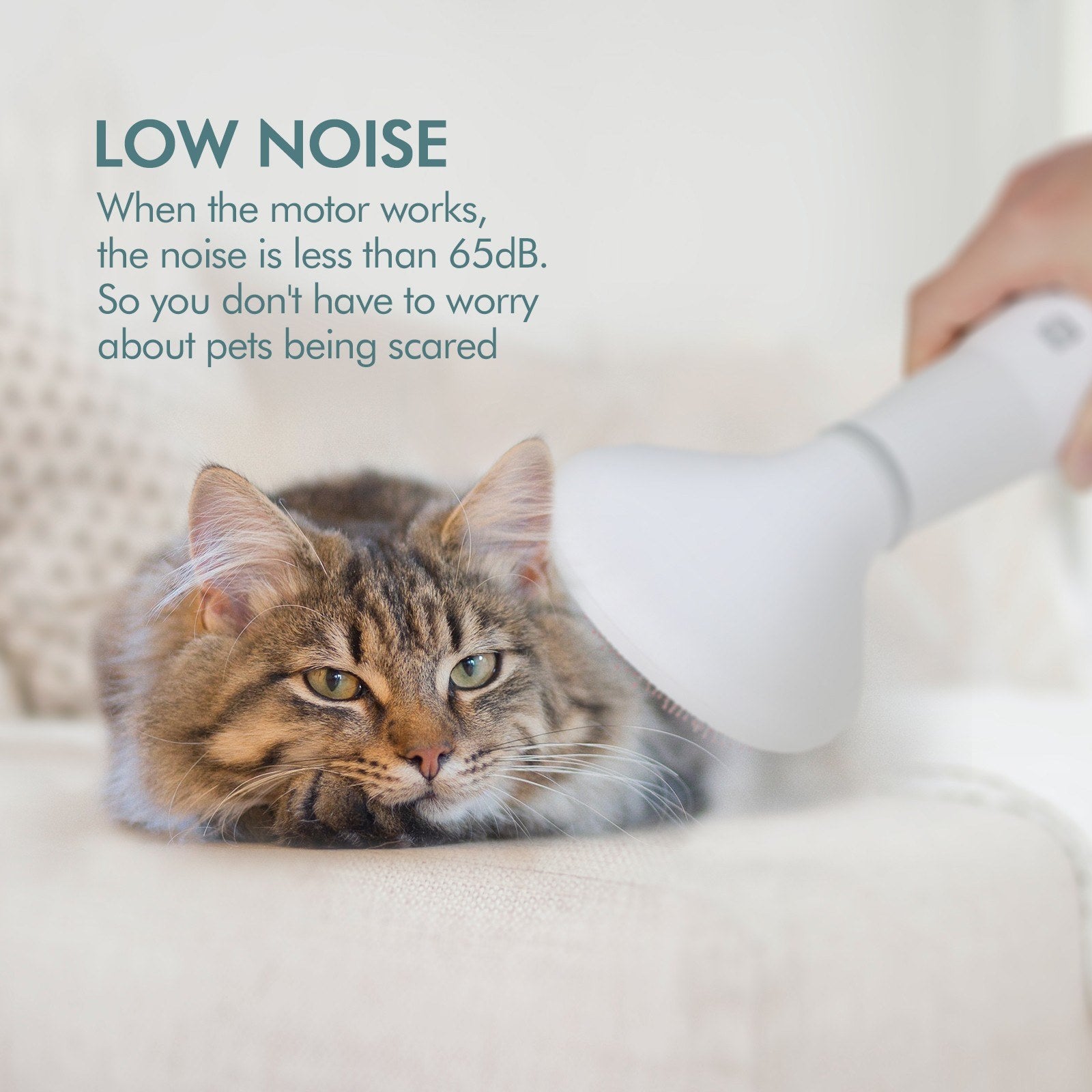 Pet Grooming Hair Dryer Slicker Brush For Pet Drying And Care