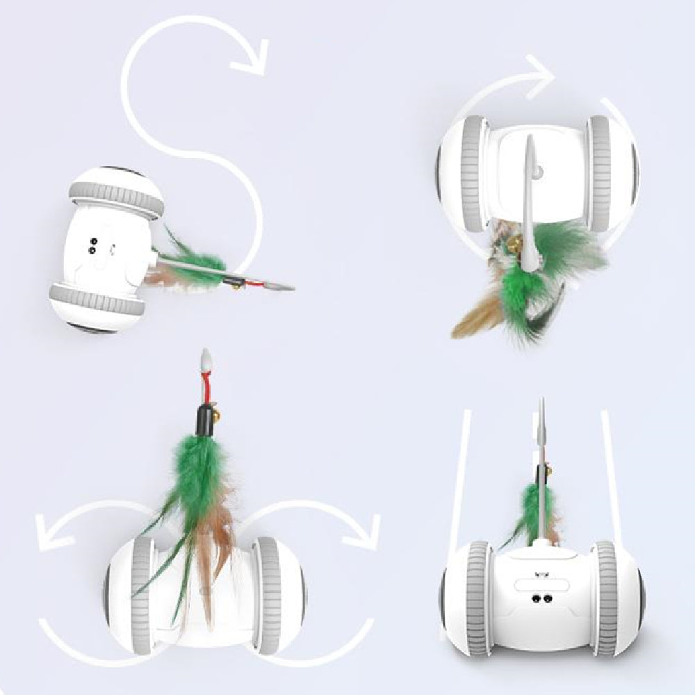 Interactive Pet Feather Toy With Interchangeable Heads For Play And Exercise
