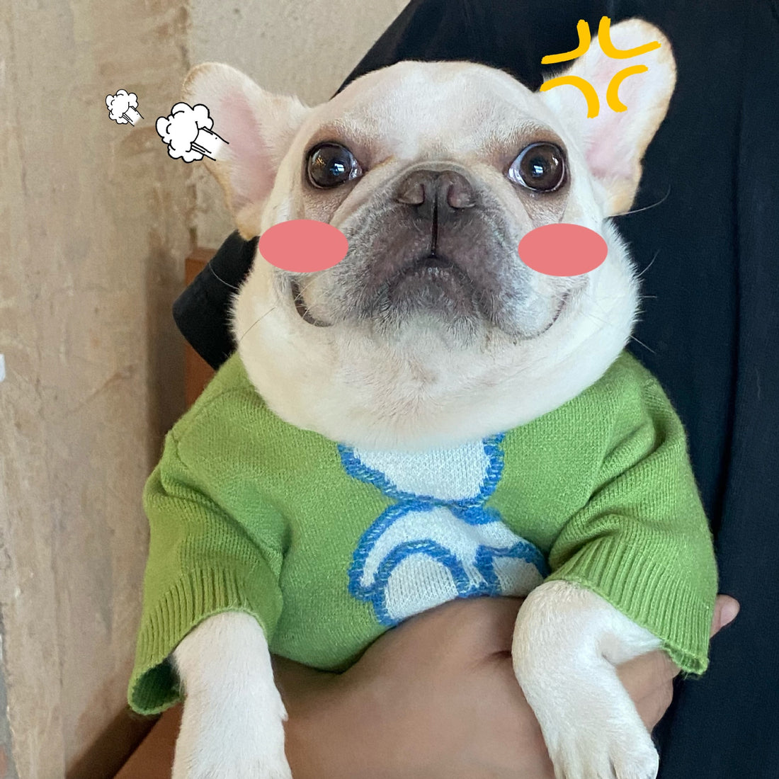 Pet Fall Winter Sweater Warm Comfortable Stylish Clothing