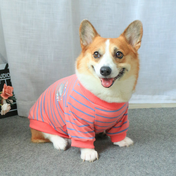 Clothes Sweater New Pet Owner Parent-child Wear