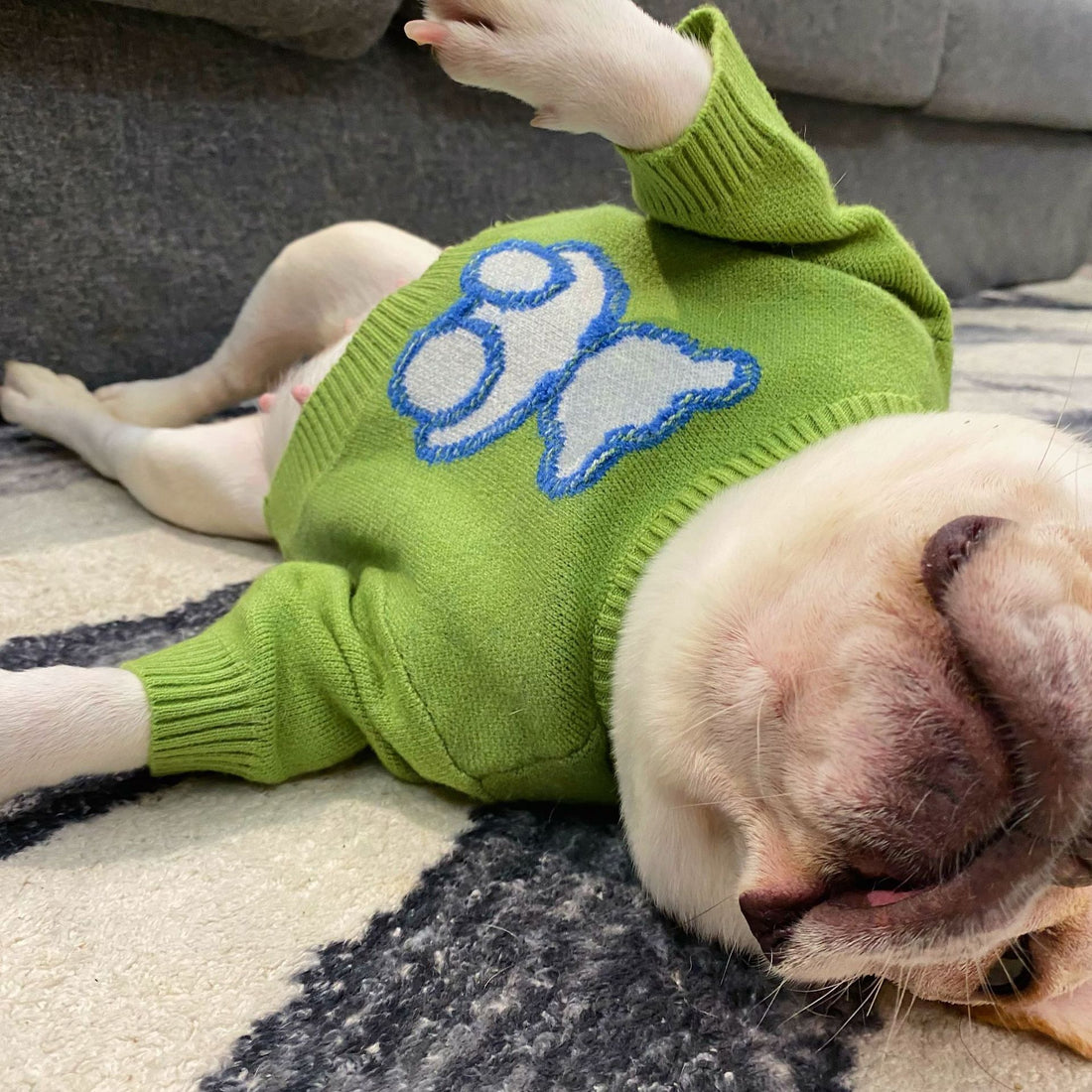Pet Fall Winter Sweater Warm Comfortable Stylish Clothing