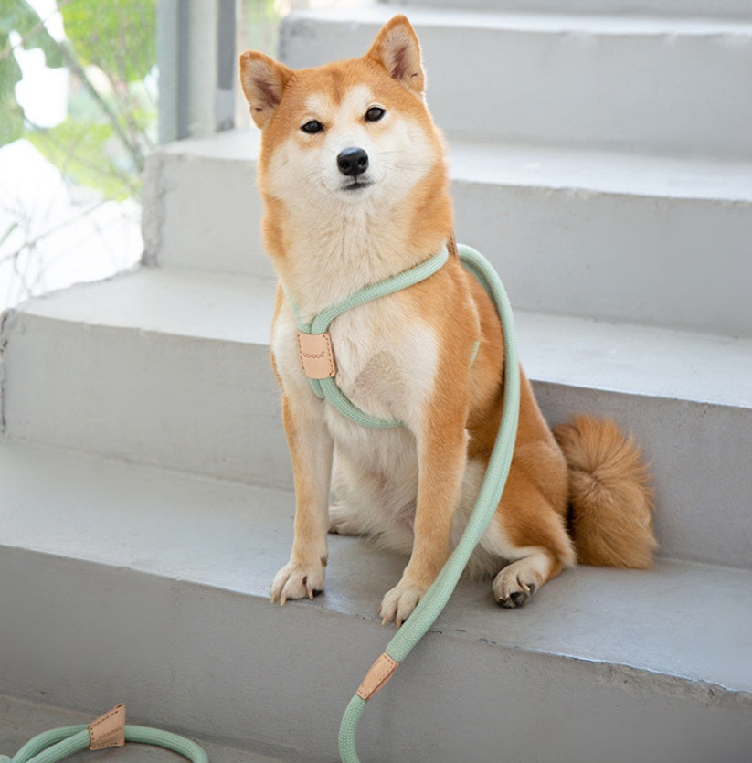 Dual Purpose Integrated Round Rope Pet Leash Control Lead