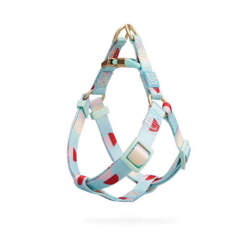 Fashion Y Shaped Pet Chest Strap Harness Leash Lead