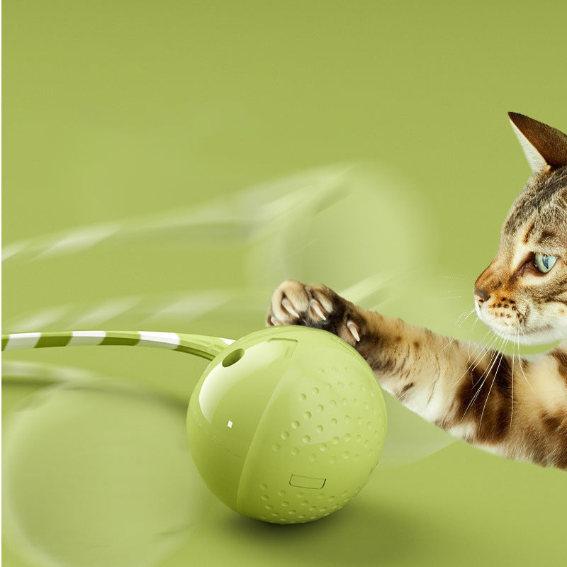 Interactive Electric Motion Sensor Pet Ball Toy For Play And Exercise