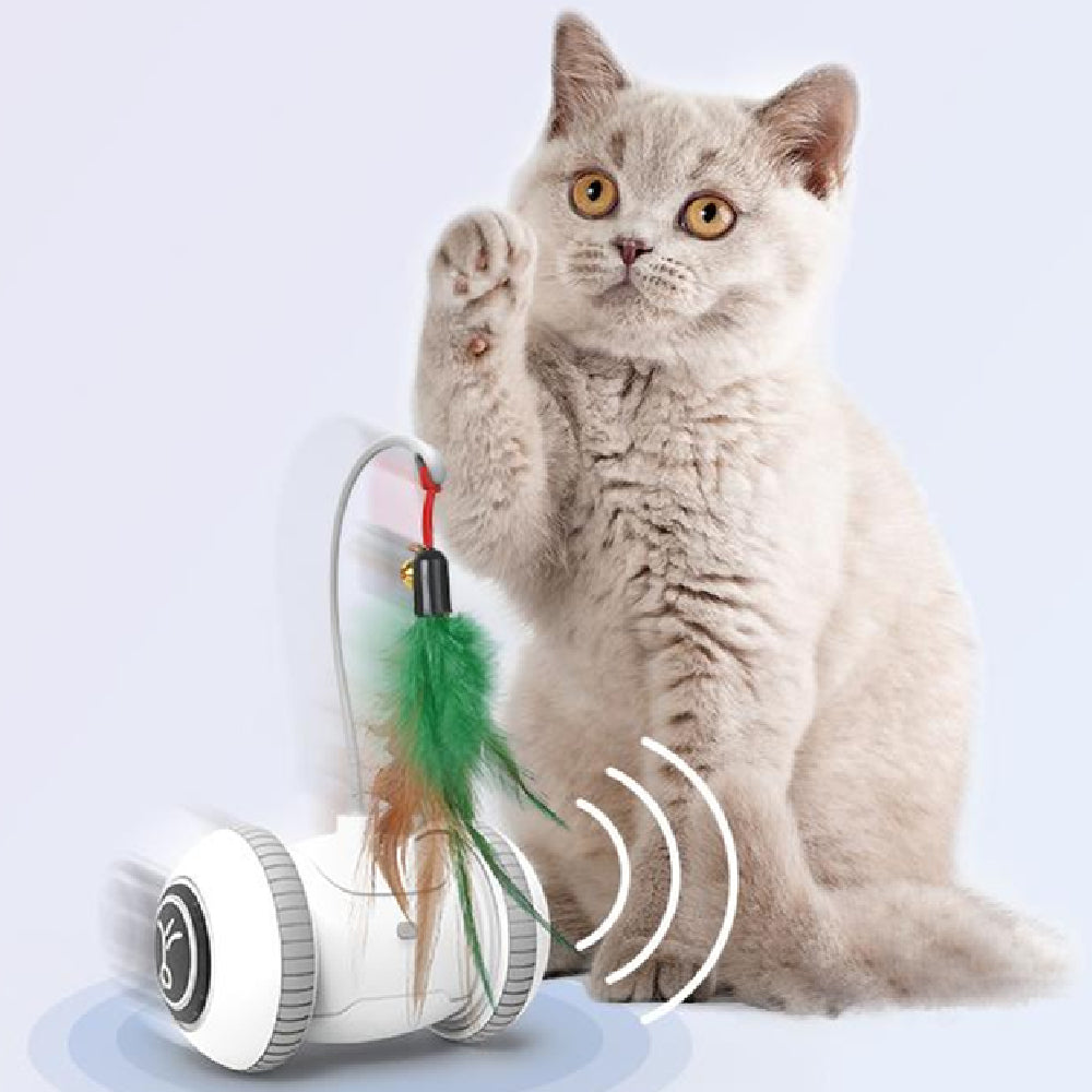 Interactive Pet Feather Toy With Interchangeable Heads For Play And Exercise