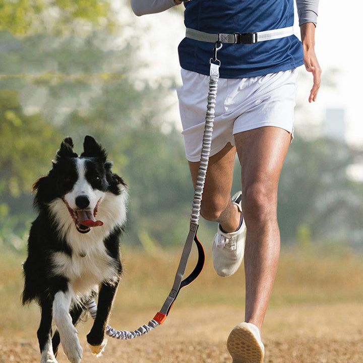 Outdoor Running Pet Leash Durable Walking Lead